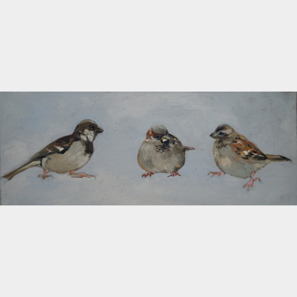 Gniazdowska Bogna, Prawie szparagi albo małe sprawy